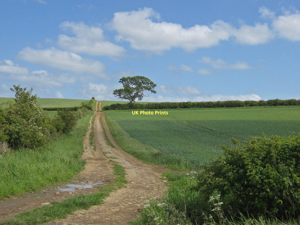 Photo 6"x4" Farm track on an arable hillside Kirkby Mills c2011