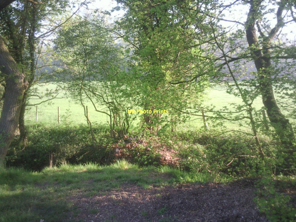 Photo 6"x4" Looking across the Kyd Brook towards Pond Wood Bickley\/TQ4269 c2011