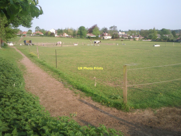 Photo 6"x4" Horses in a field at Ruxley Ruxley c2011