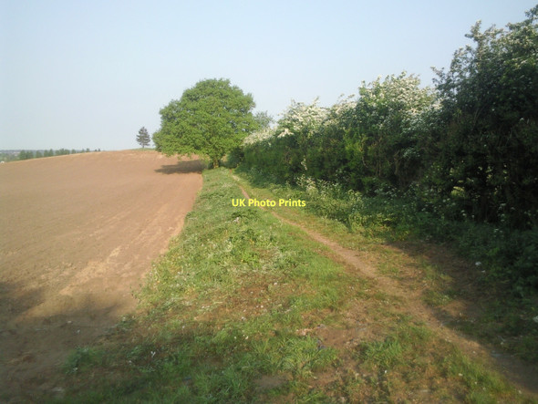 Photo 6"x4" Footpath along a field edge near Swanley Swanley\/TQ5168 c2011