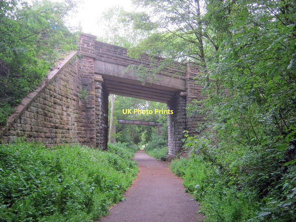 Photo 6"x4" Path through Ripley Ripley\/SK4050 c2011