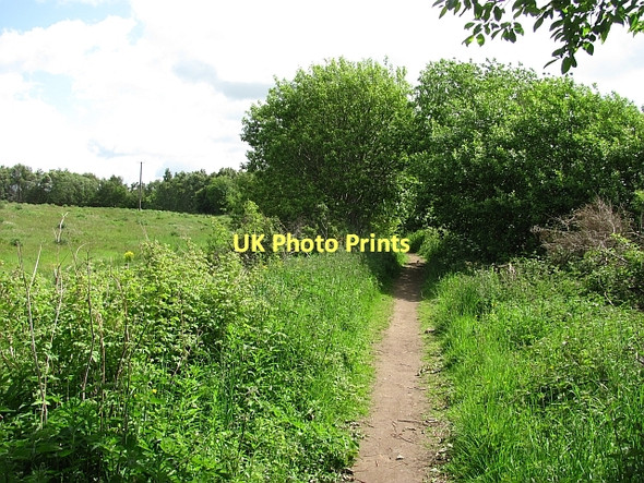 Photo 6"x4" Macmerry Branch Railway Ormiston\/NT4169 c2011
