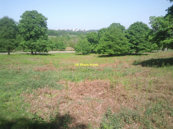 Photo 6"x4" View across Richmond Park to the Alton Estate Kingston Upon Thames c2011