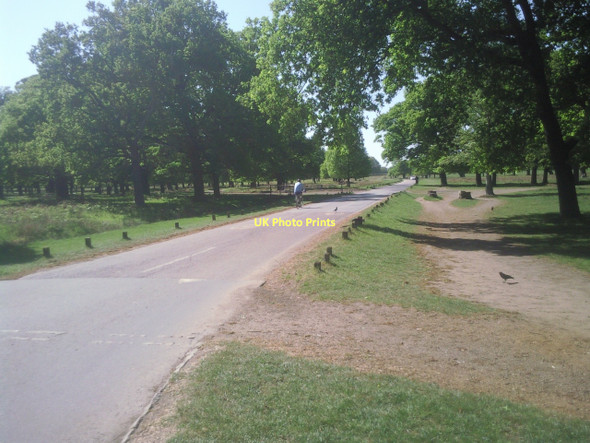 Photo 6"x4" Road across Richmond Park Kingston Vale c2011