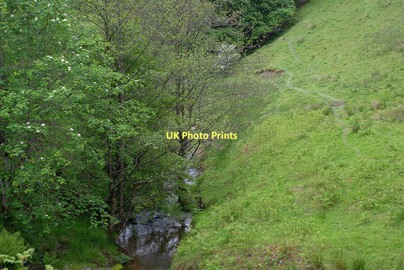 Photo 6"x4" The Nant Gynwydd near Bwlch-y-garreg farm Cwmbelan c2011