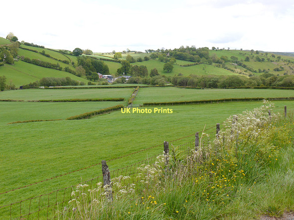 Photo 6"x4" Fields in the Nant Cae-garw valley Cwmbelan c2011