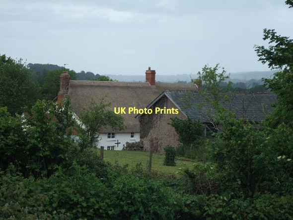 Photo 6"x4" Passaford Farm from Passaford Lane Bridge End\/SY0989 c2011