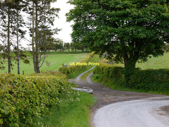 Photo 6"x4" Bridleway to Cefn farm Tylwch c2011