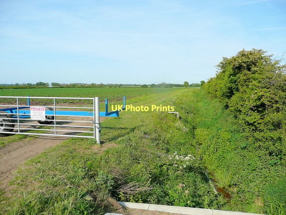 Photo 6"x4" Trent vale farmland Scotterthorpe c2011