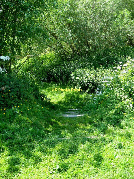 Photo 6"x4" Steps down to the River Severn at Northwick Lido, Northwick, Worcester Worcester c2011