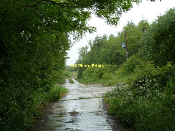 Photo 6"x4" Track west of Staveley Lane Renishaw c2011