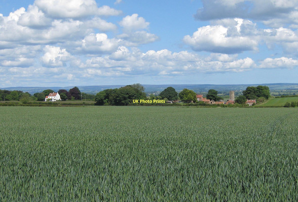 Photo 6"x4" Young wheat off Braygate Street Malton\/SE7871 c2011
