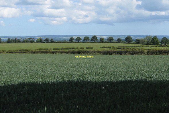 Photo 6"x4" Moorland view over Long Plantation Malton\/SE7871 c2011