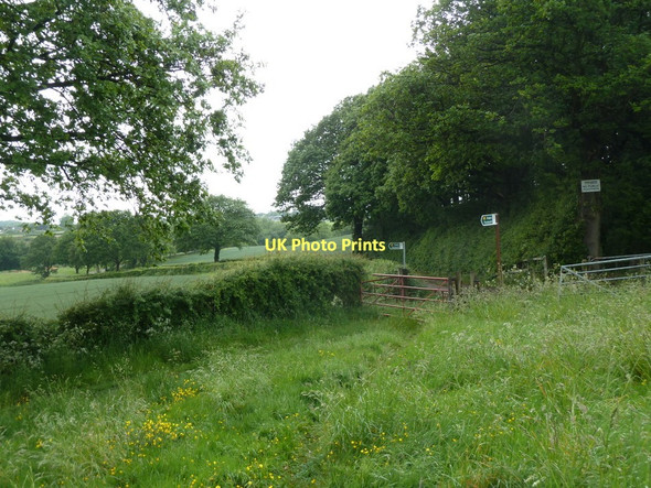 Photo 6"x4" Footpath junction at the southern tip of Bushes Wood Ford\/SK4080 c2011