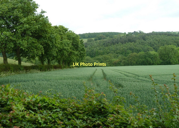 Photo 6"x4" View across the valley of The Moss Ford\/SK4080 c2011