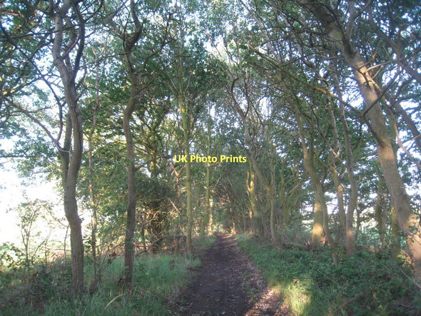 Photo 6"x4" Bull Moor Road (2) Hatfield Woodhouse c2011