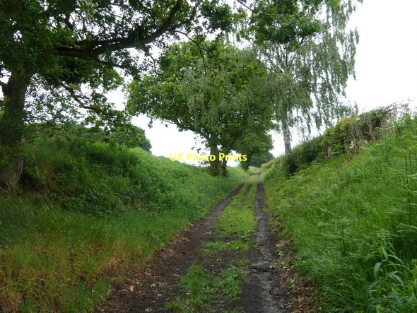 Photo 6"x4" Uphill track near Plumbley Plumbley c2011