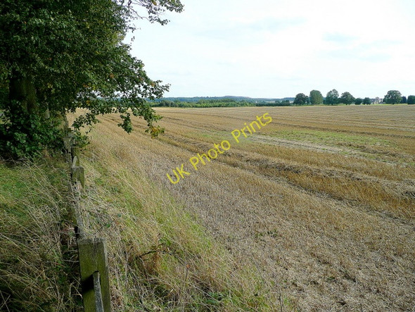 Photo 6"x4" Arable land near Norton Cuckney c2009