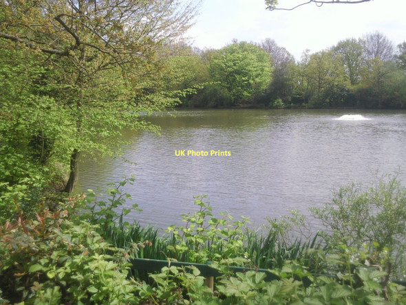 Photo 6"x4" Crystal Palace Park fishing lake Penge c2011