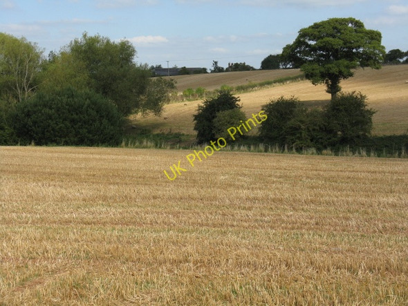 Photo 6"x4" Stubble Fields Near Sutton Court Kyrewood c2009