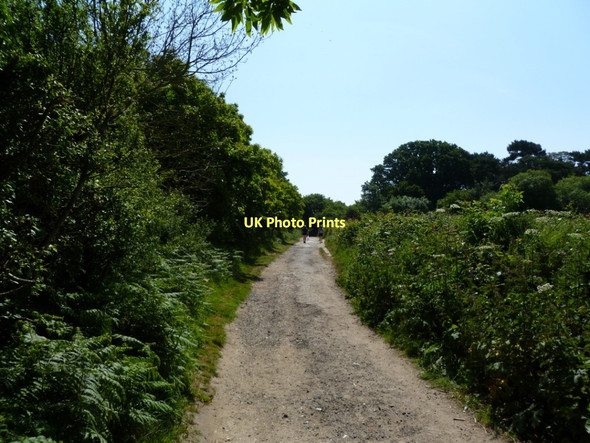 Photo 6"x4" Studland, coast path Studland c2011