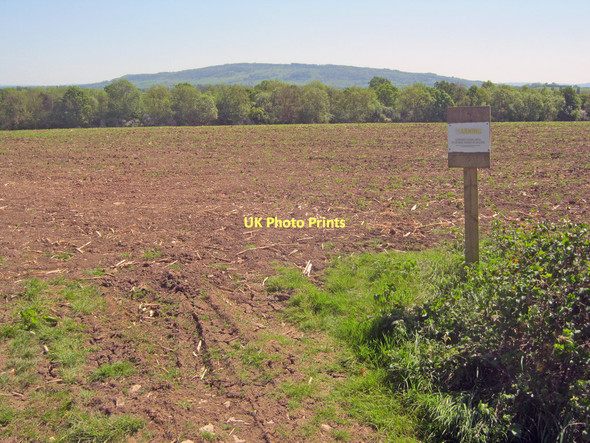 Photo 6"x4" Arable land on Brierley Hill Woodmancote\/SO9042 c2011