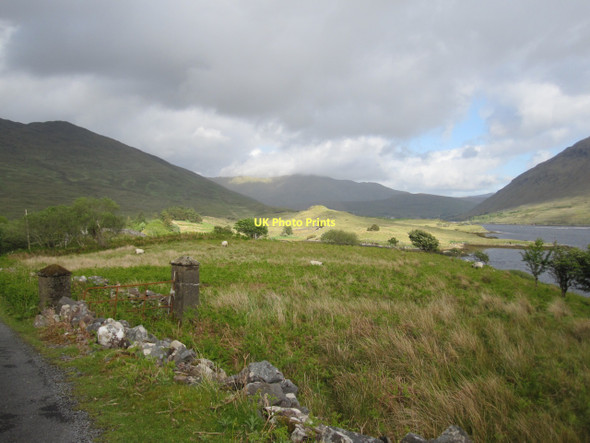 Photo 6"x4" Sheep pasture above Killary Harbour Leenaun c2011