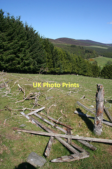 Photo 6"x4" Field Boundary Migvie c2011
