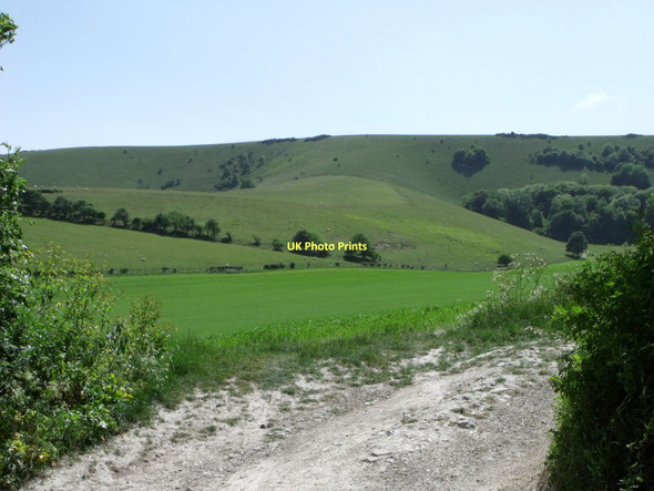 Photo 6"x4" Looking towards Folkington Bottom, East Sussex Folkington c2011