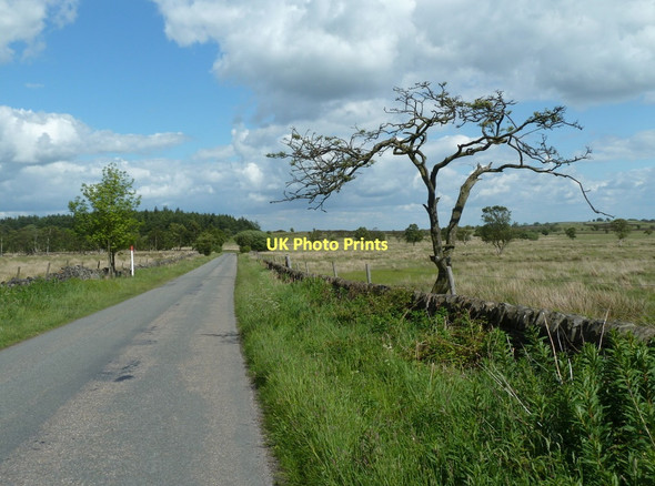 Photo 6"x4" Fox Lane east of Ramsley Reservoir Moorhall\/SK3074 c2011