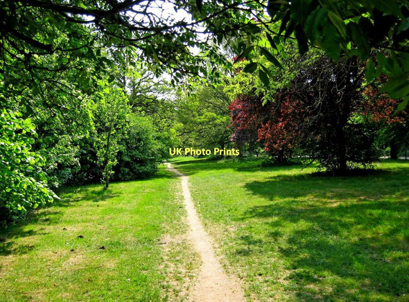 Photo 6"x4" Footpath alongside Droitwich Road (A38), Perdiswell, Worcester Worcester c2011