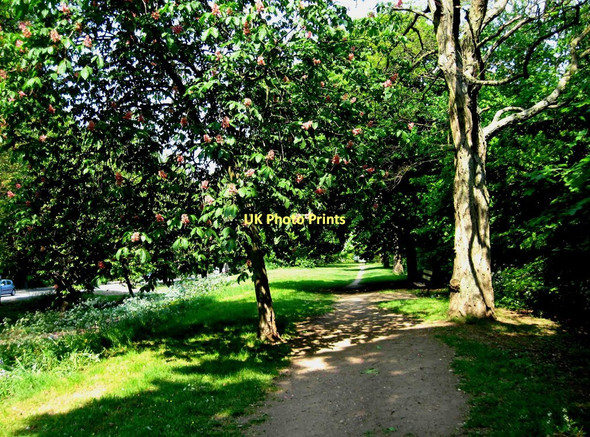 Photo 6"x4" Footpath alongside Droitwich Road (A38), Perdiswell, Worcester Worcester c2011 P1