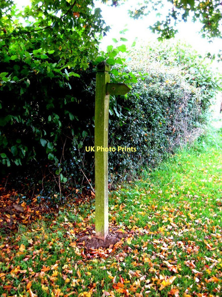 Photo 6"x4" Finger post by Severnlodge Cottage, Button Bridge Lane Coppicegate c2010