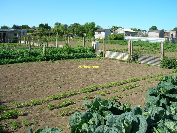 Photo 6"x4" Allotments, Outgang Road, Malton Malton\/SE7871 c2011