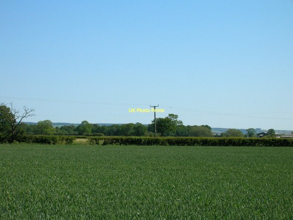 Photo 6"x4" Farmland near Sleightholme Farm Ryton\/SE7975 c2011