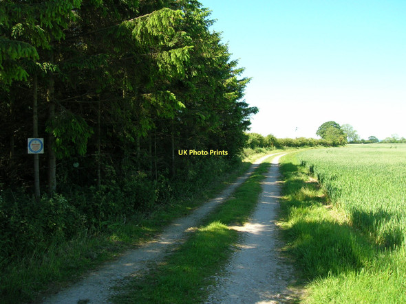 Photo 6"x4" Intake Lane (track) Ryton\/SE7975 c2011