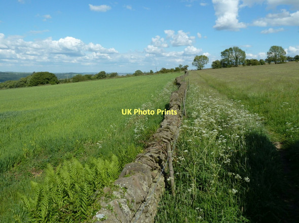 Photo 6"x4" Valley side footpath Moorhall\/SK3074 c2011