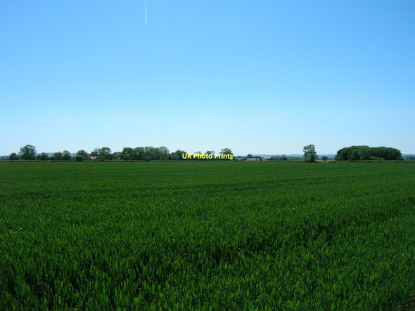 Photo 6"x4" Farmland near Park Farm Great Habton c2011