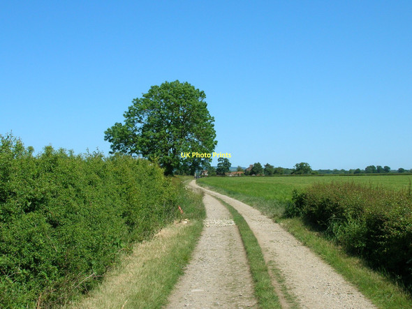 Photo 6"x4" Track to Normanby Lodge Normanby\/SE7381 c2011