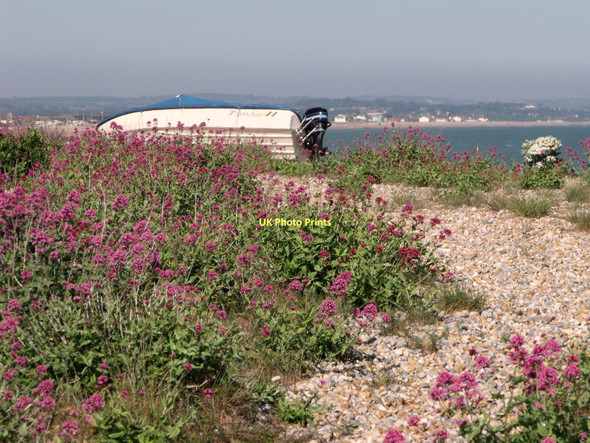 Photo 6"x4" Pevensey Beach Pevensey Bay\/TQ6504 c2011
