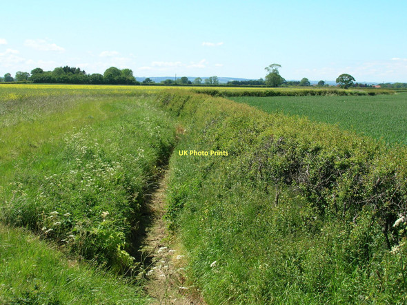 Photo 6"x4" Dry drainage ditch off Wandale Lane Normanby\/SE7381 c2011
