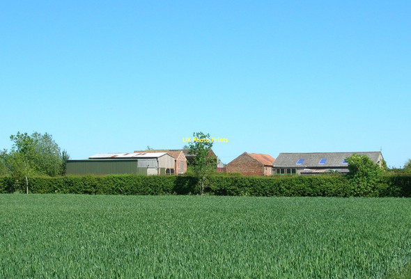 Photo 6"x4" Fir Tree Farm Little Barugh c2011
