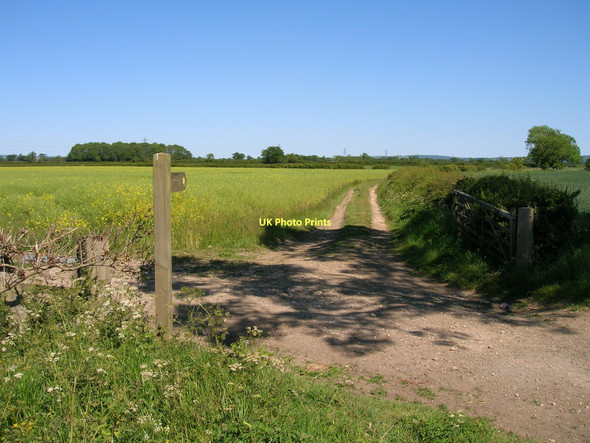 Photo 6"x4" Footpath off Amotherby Lane Swinton\/SE7573 c2011
