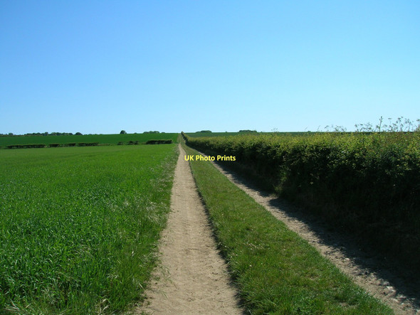 Photo 6"x4" Farm track heading south near Amotherby Swinton\/SE7573 c2011
