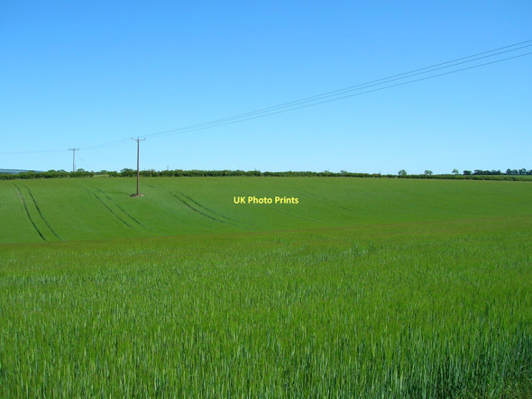 Photo 6"x4" Farmland off Swinton Lane Malton\/SE7871 c2011