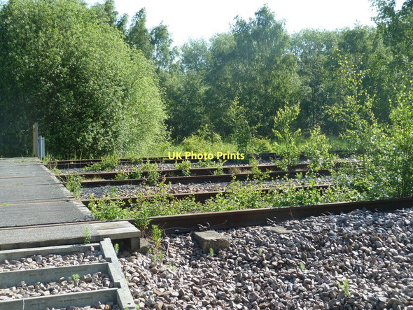 Photo 6"x4" Former colliery railway Staveley\/SK4374 c2011