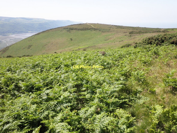 Photo 6"x4" Bossington Hill Allerford\/SS9047 c2011