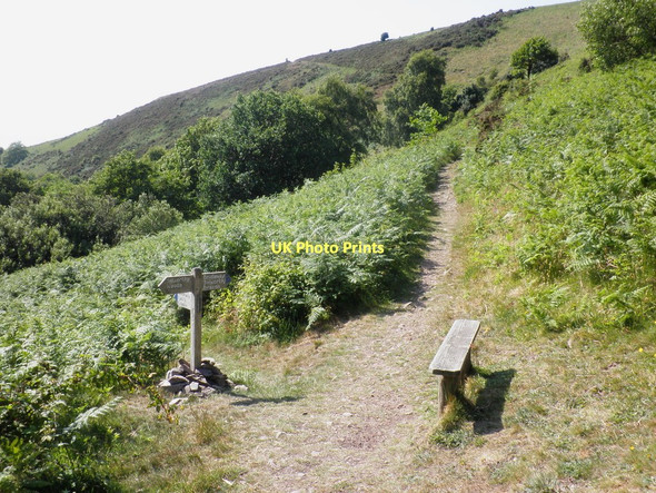 Photo 6"x4" Footpath junction, Lynch Combe Allerford\/SS9047 c2011