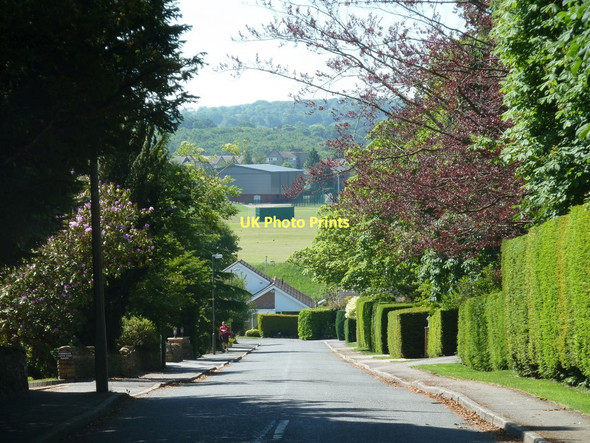 Photo 6"x4" South Lodge Court from Old Road Ashgate c2011