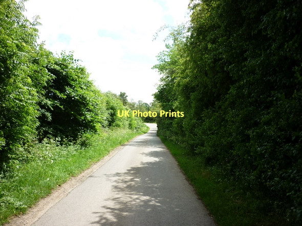 Photo 6"x4" Jackey Lane, near Burton Constable Estate Old Ellerby c2011